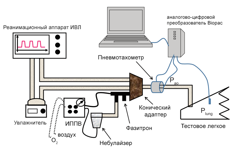 ipvcmv3.png