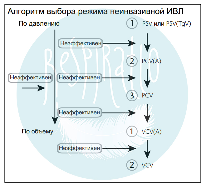 guide-vivo50-2.jpg